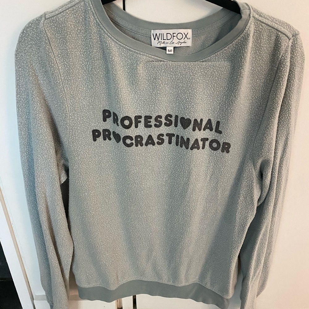Wildfox Sweater